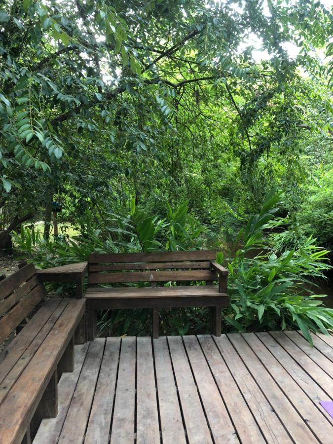 Cabana La Colmena Тигре Екстер'єр фото